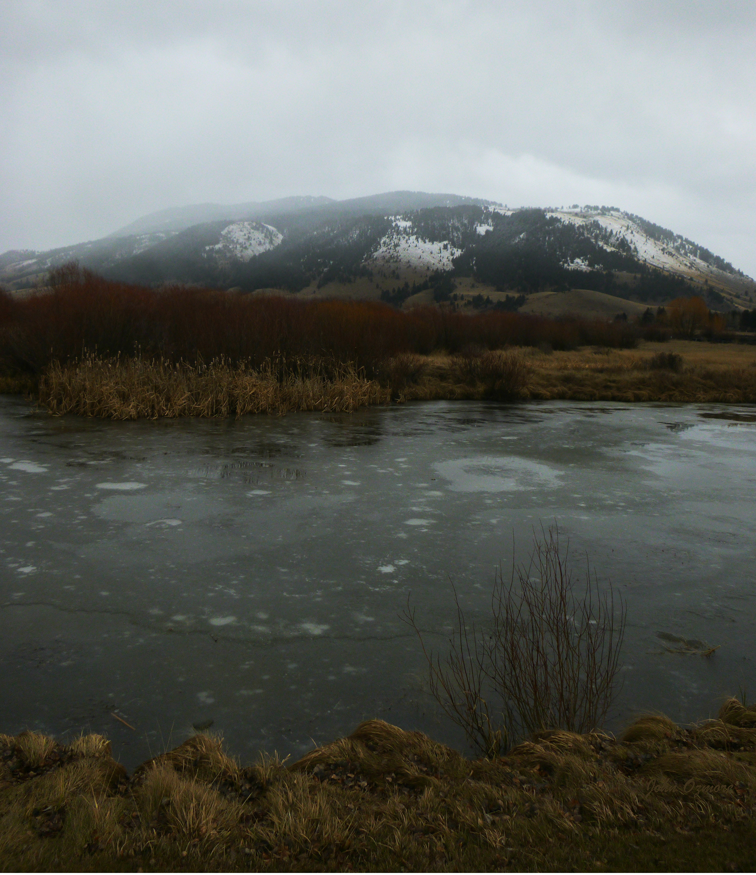 Jackson Elk Refuge